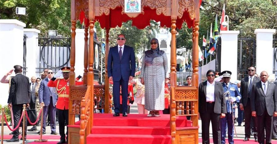 Egypt, Tanzania sign 2 MoUs on transport, electricity, renewable energy